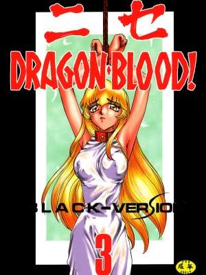 (C53) [LTM. (Taira Hajime)] Nise DRAGON・BLOOD! 3. [WindSong 个性化]